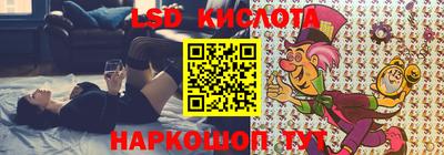 амф Майкоп