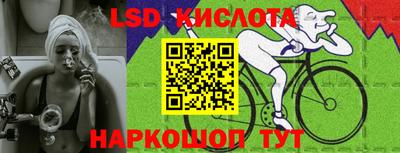 прущие грибы Магадан