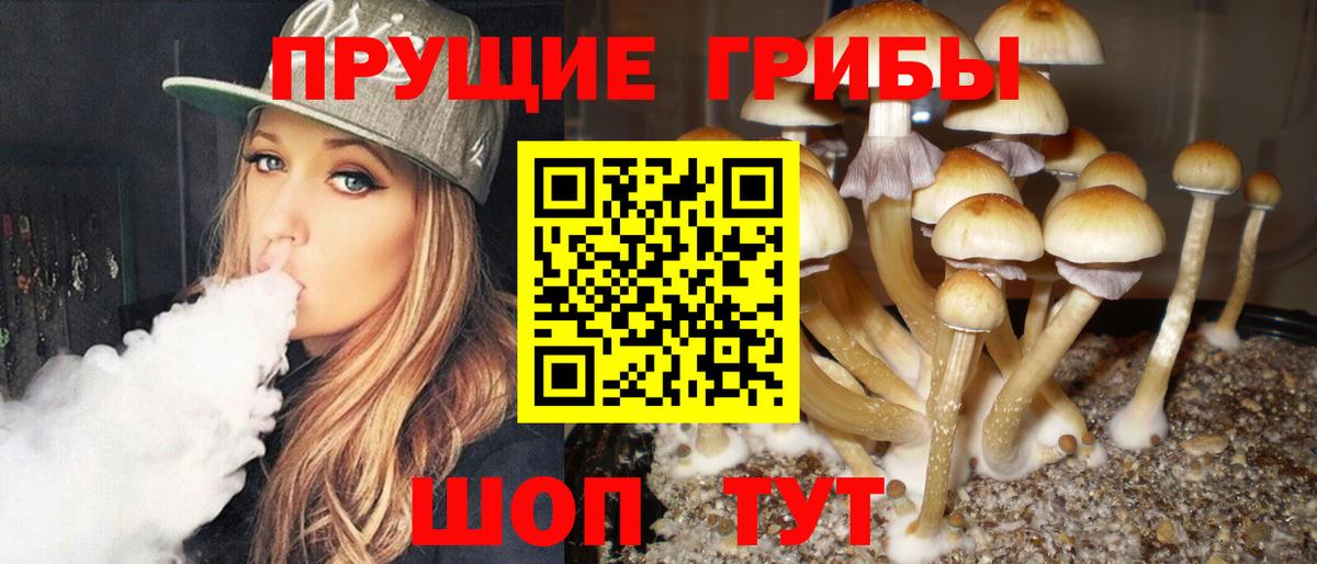 Алексин  Псилоцибиновые грибы Magic Shrooms  Вход с VPN 